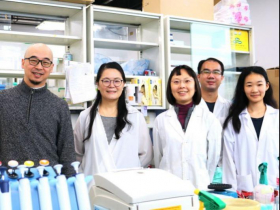 吃得少活得久是真的嗎？陽明交大團隊找到長壽關鍵！下一步科學家要設計「抗老化藥物」